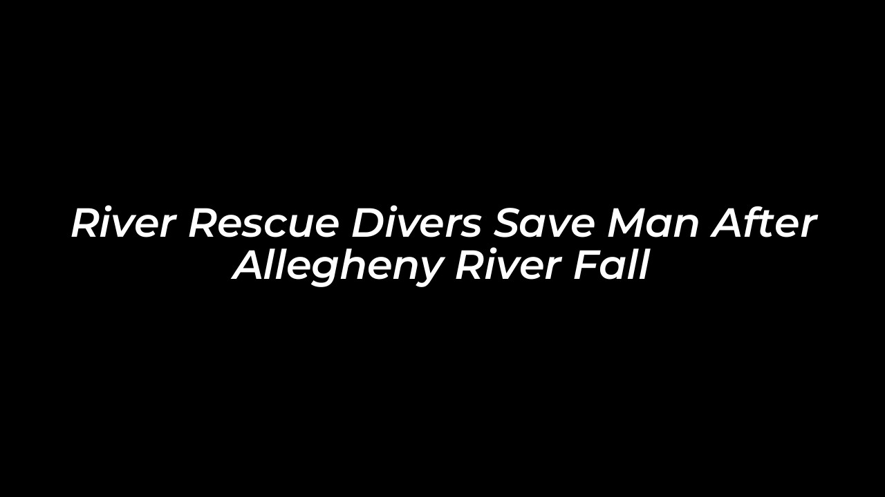 river rescue divers save man after allegheny river fall p9RX