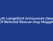 ruth langsford announces death of beloved rescue dog maggie YM8y