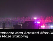 sacramento man arrested after dixon corn maze stabbing W0Lv