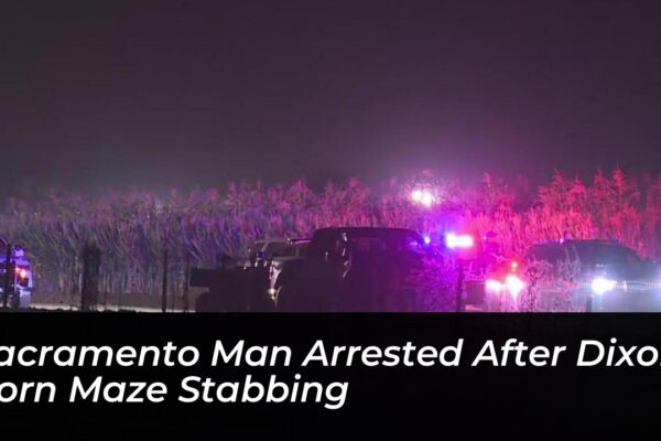 sacramento man arrested after dixon corn maze stabbing W0Lv