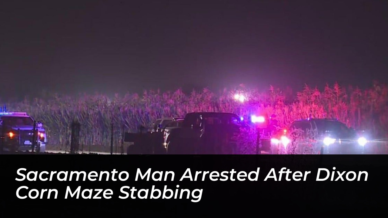 sacramento man arrested after dixon corn maze stabbing W0Lv