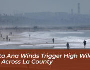 santa ana winds trigger high wildfire risk across la county e8DT