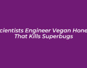 scientists engineer vegan honey that kills superbugs xeH9