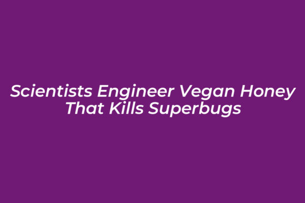 scientists engineer vegan honey that kills superbugs xeH9