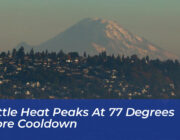 seattle heat peaks at 77 degrees before cooldown GgBB