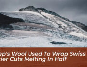 sheeps wool used to wrap swiss glacier cuts melting in half B0Se