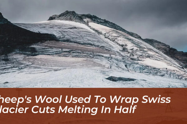 sheeps wool used to wrap swiss glacier cuts melting in half B0Se