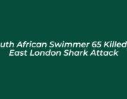 south african swimmer 65 killed in east london shark attack dZkW