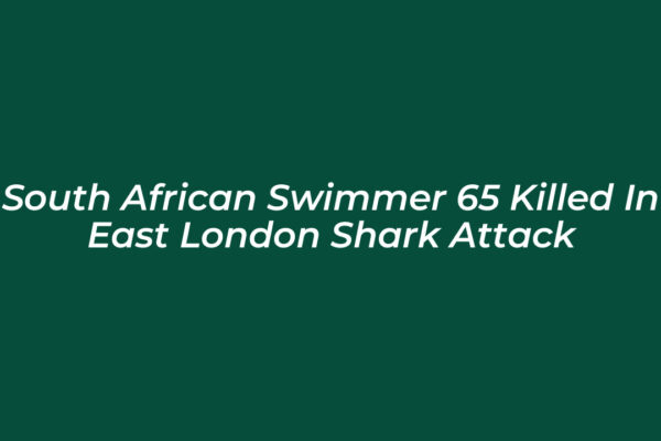 south african swimmer 65 killed in east london shark attack dZkW