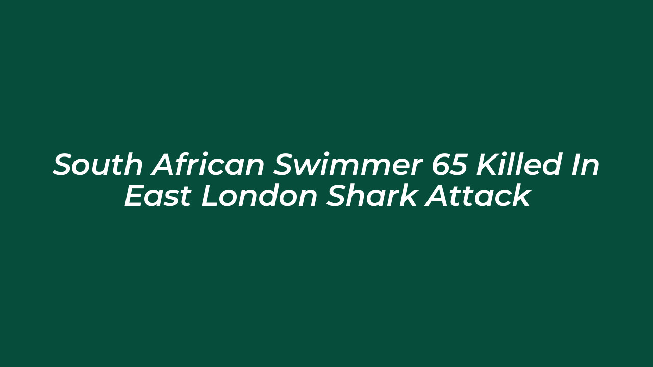 south african swimmer 65 killed in east london shark attack dZkW