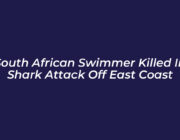 south african swimmer killed in shark attack off east coast HmI1