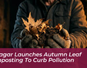 srinagar launches autumn leaf composting to curb pollution PXqj