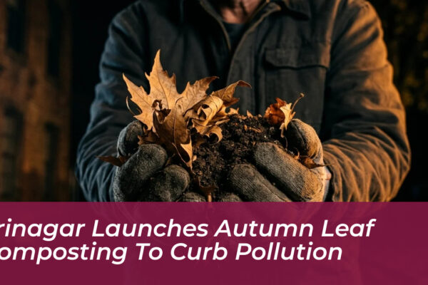 srinagar launches autumn leaf composting to curb pollution PXqj