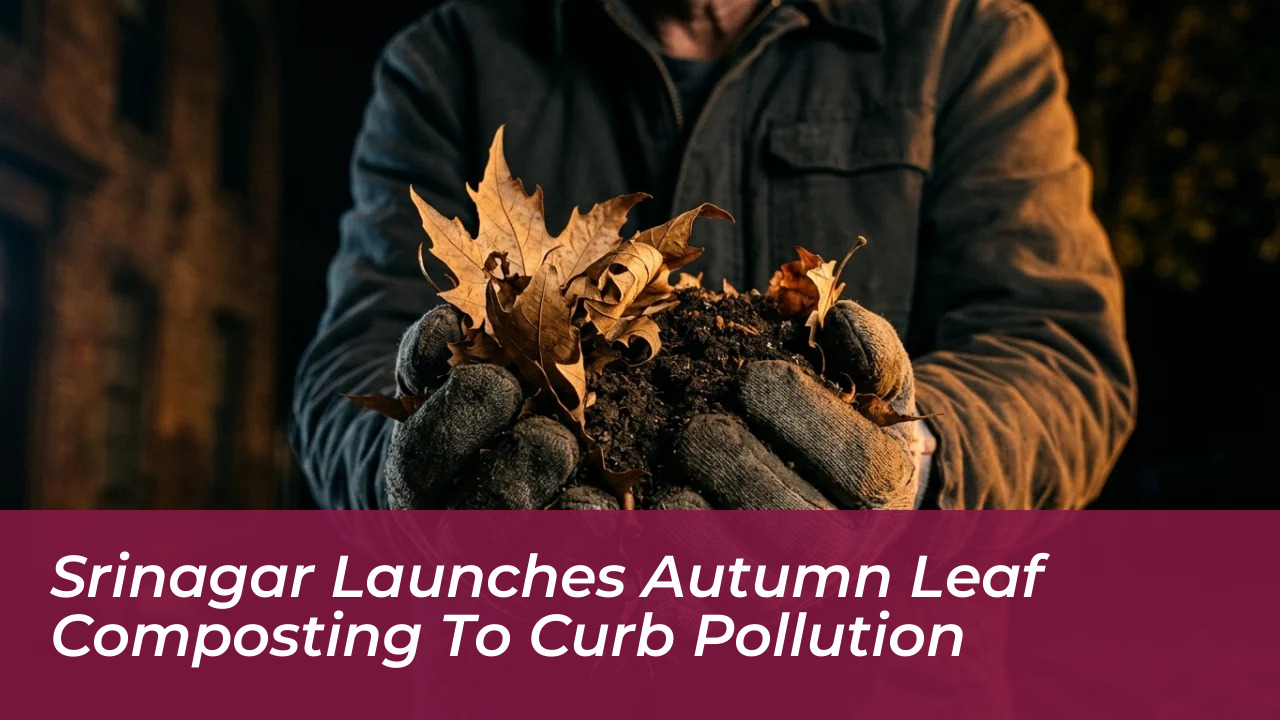 srinagar launches autumn leaf composting to curb pollution PXqj