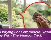 stop paying for commercial window spray with the vinegar trick 35f9