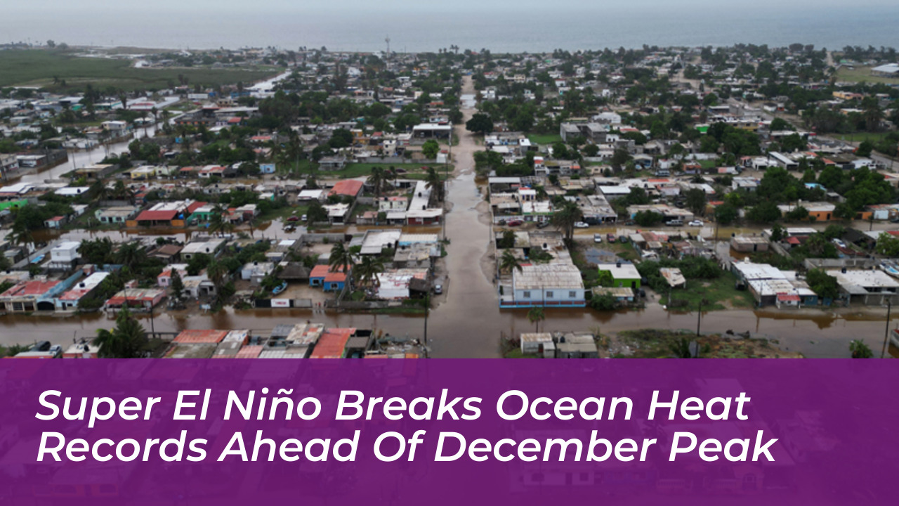 super el nino breaks ocean heat records ahead of december peak 6GWe