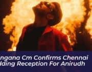 telangana cm confirms chennai wedding reception for anirudh 0pZC