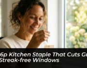 the 6p kitchen staple that cuts grime for streak free windows alQh
