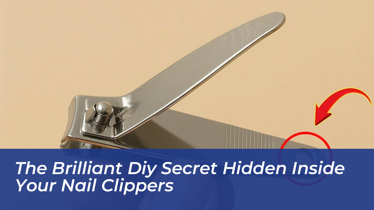 the brilliant diy secret hidden inside your nail clippers c1YW