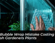 the bubble wrap mistake costing british gardeners plants TtK1