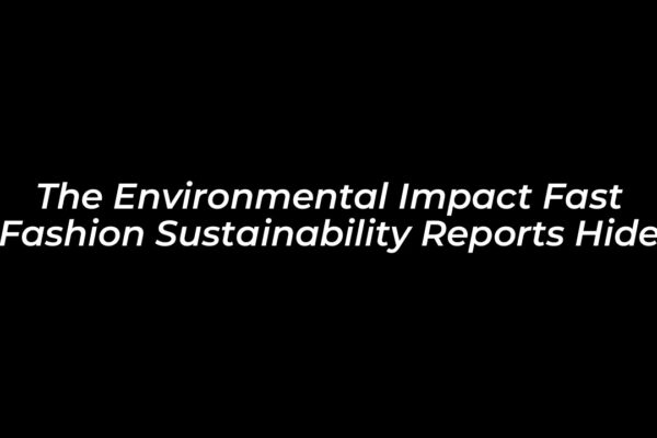 the environmental impact fast fashion sustainability reports hide eIDD