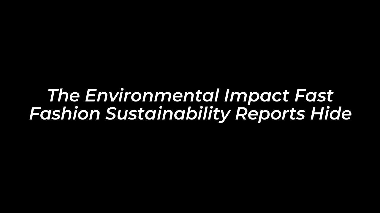 the environmental impact fast fashion sustainability reports hide eIDD