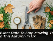 the exact date to stop mowing your lawn this autumn in uk xS1J