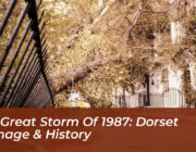 the great storm of 1987 dorset damage history r60r