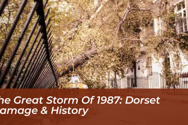 the great storm of 1987 dorset damage history r60r