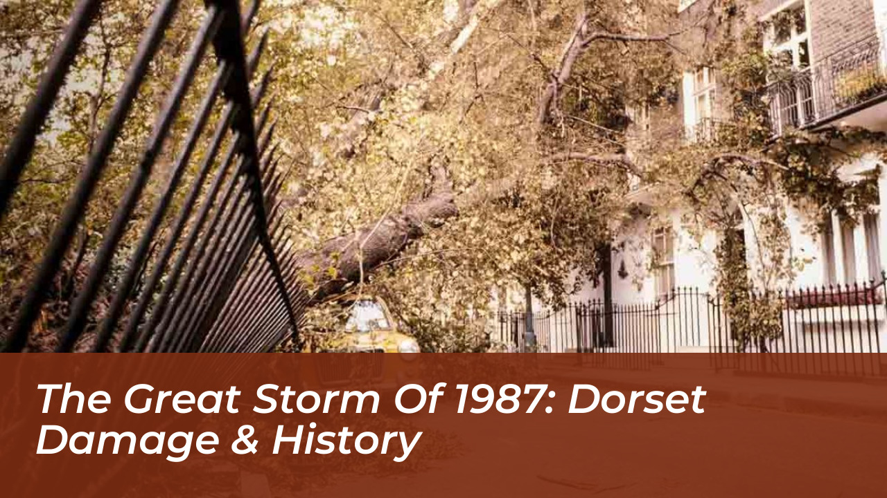 the great storm of 1987 dorset damage history r60r
