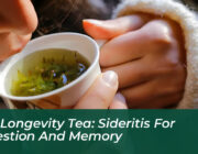 the longevity tea sideritis for digestion and memory BRSw