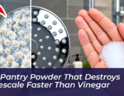 the pantry powder that destroys limescale faster than vinegar L7Aq