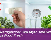 the refrigerator dial myth and what keeps food fresh zxB0