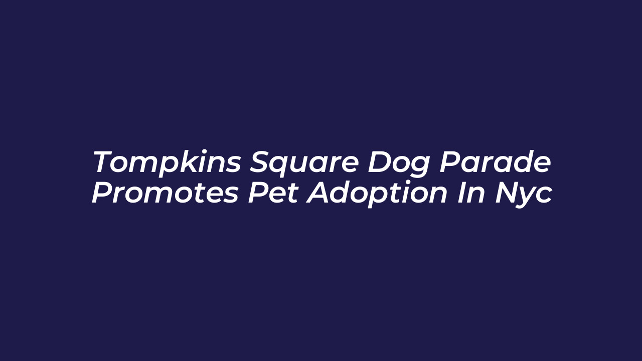 tompkins square dog parade promotes pet adoption in nyc birt