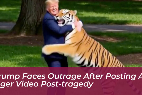 trump faces outrage after posting ai tiger video post tragedy 47Lx