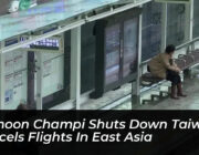 typhoon champi shuts down taiwan cancels flights in east asia i1QL