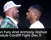 tyson fury and anthony joshua schedule cardiff fight dec 11 cdrm