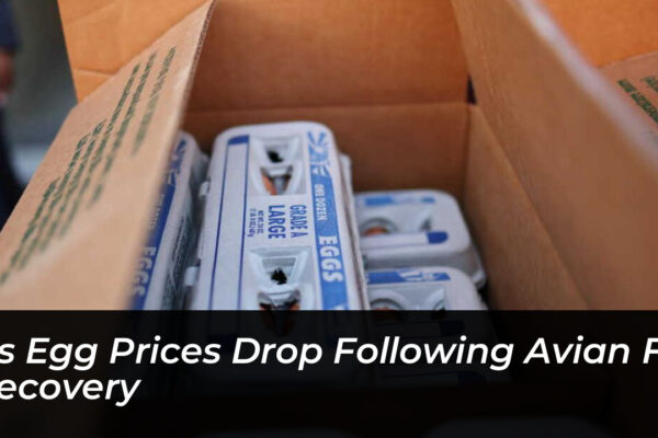 us egg prices drop following avian flu recovery EZ2R