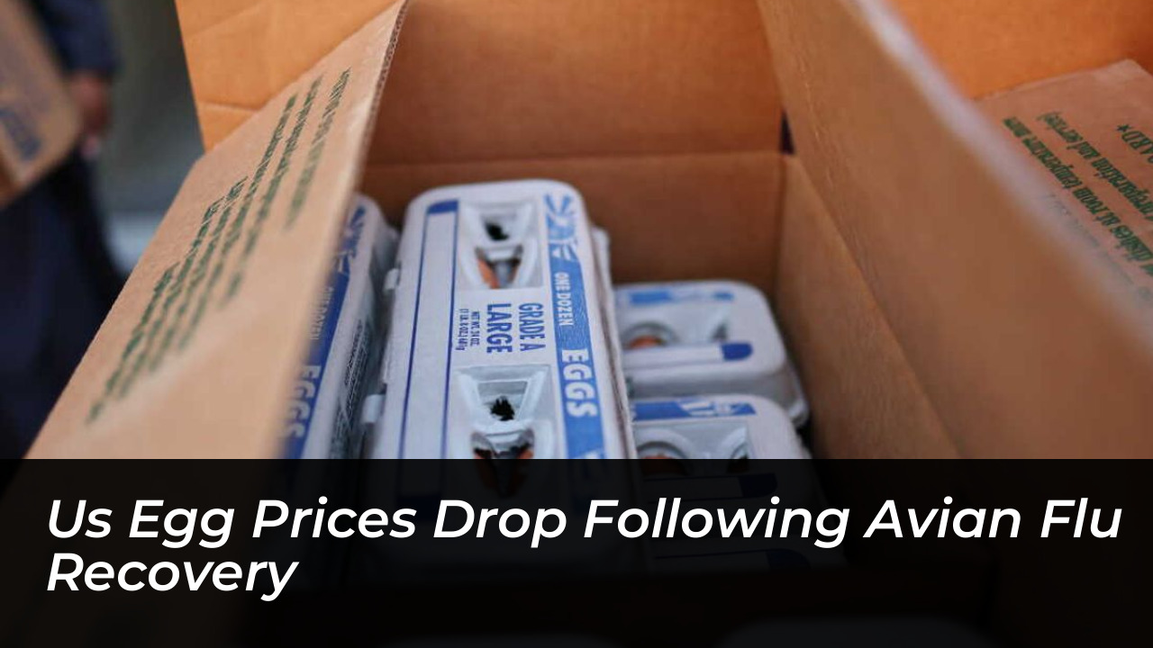 us egg prices drop following avian flu recovery EZ2R
