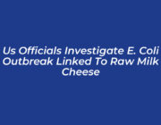 us officials investigate e coli outbreak linked to raw milk cheese VXwl