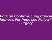vatican confirms lung cancer diagnosis for pope leo following surgery Z0st