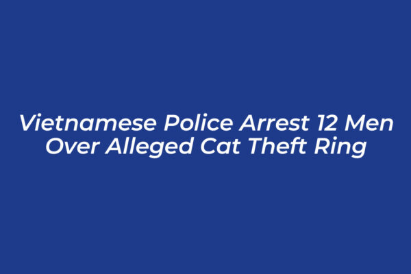 vietnamese police arrest 12 men over alleged cat theft ring g09e