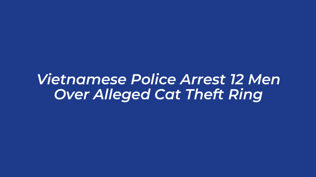 vietnamese police arrest 12 men over alleged cat theft ring g09e