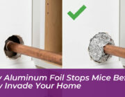 why aluminum foil stops mice before they invade your home yDXf