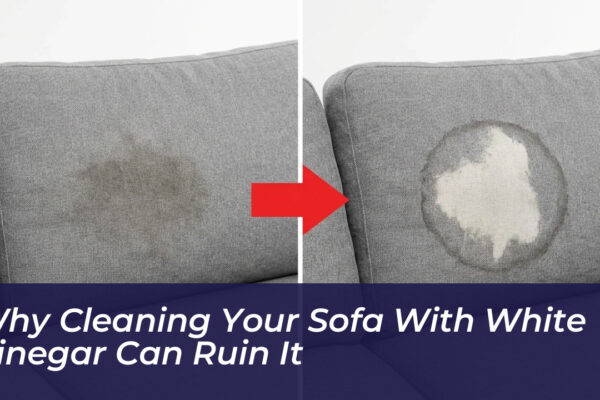 why cleaning your sofa with white vinegar can ruin it Rf0Y