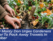 why monty don urges gardeners never to pack away trowels in october uFKJ