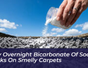 why overnight bicarbonate of soda works on smelly carpets j52W