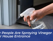 why people are spraying vinegar at their house entrance lhKh