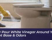 why pour white vinegar around your toilet base odors 0ghf