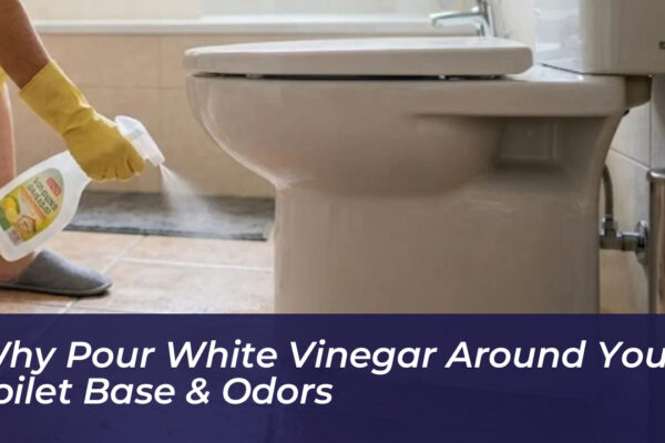 why pour white vinegar around your toilet base odors 0ghf